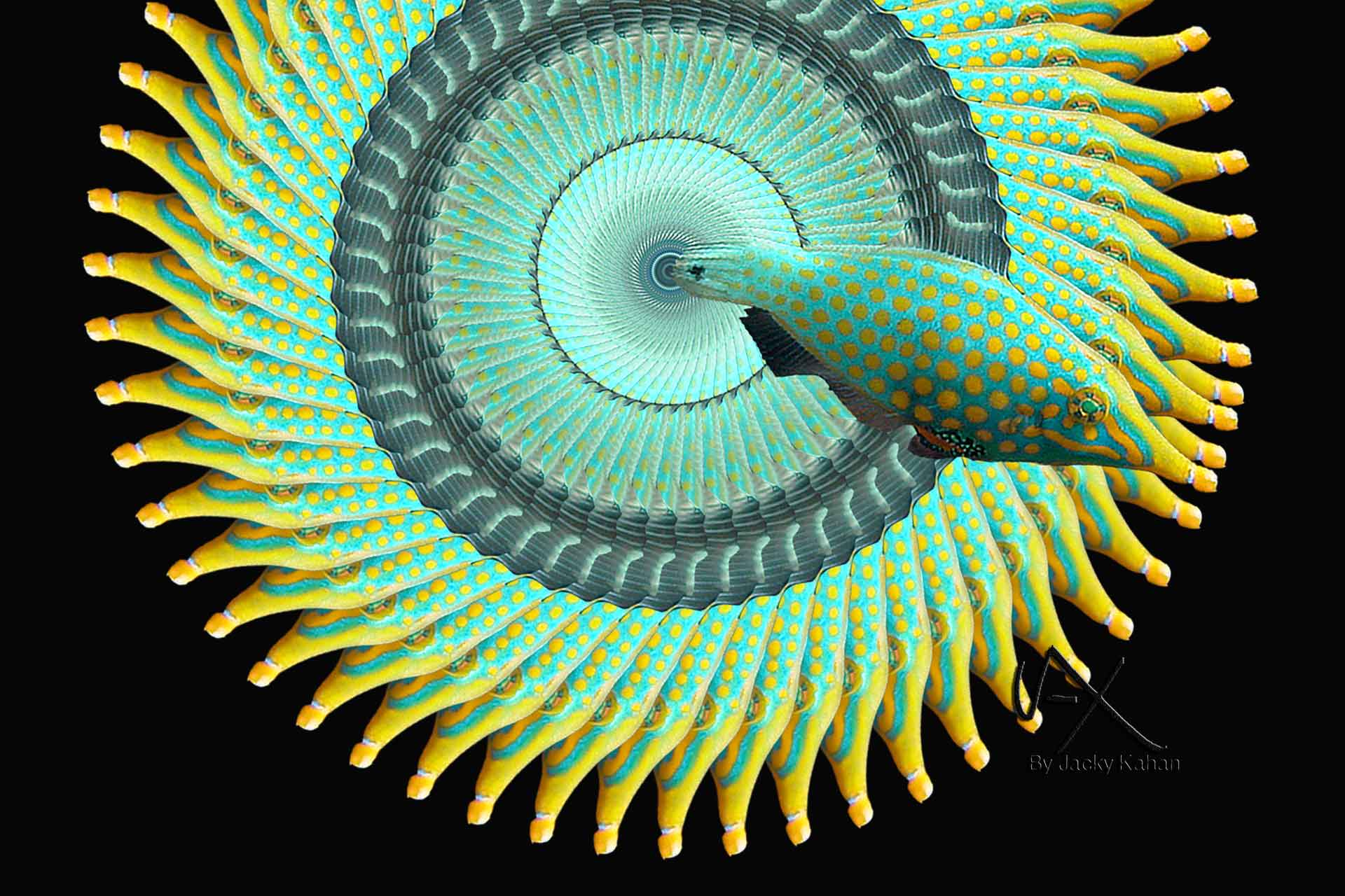 Jax4All the digital art of Jax by Jacky Kahan